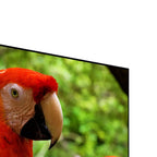 Televisor Smart TV 50" UHD Challenger 50KG85BT